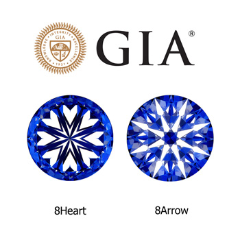 貴い妖精 totoi yousei ギャラリー写真